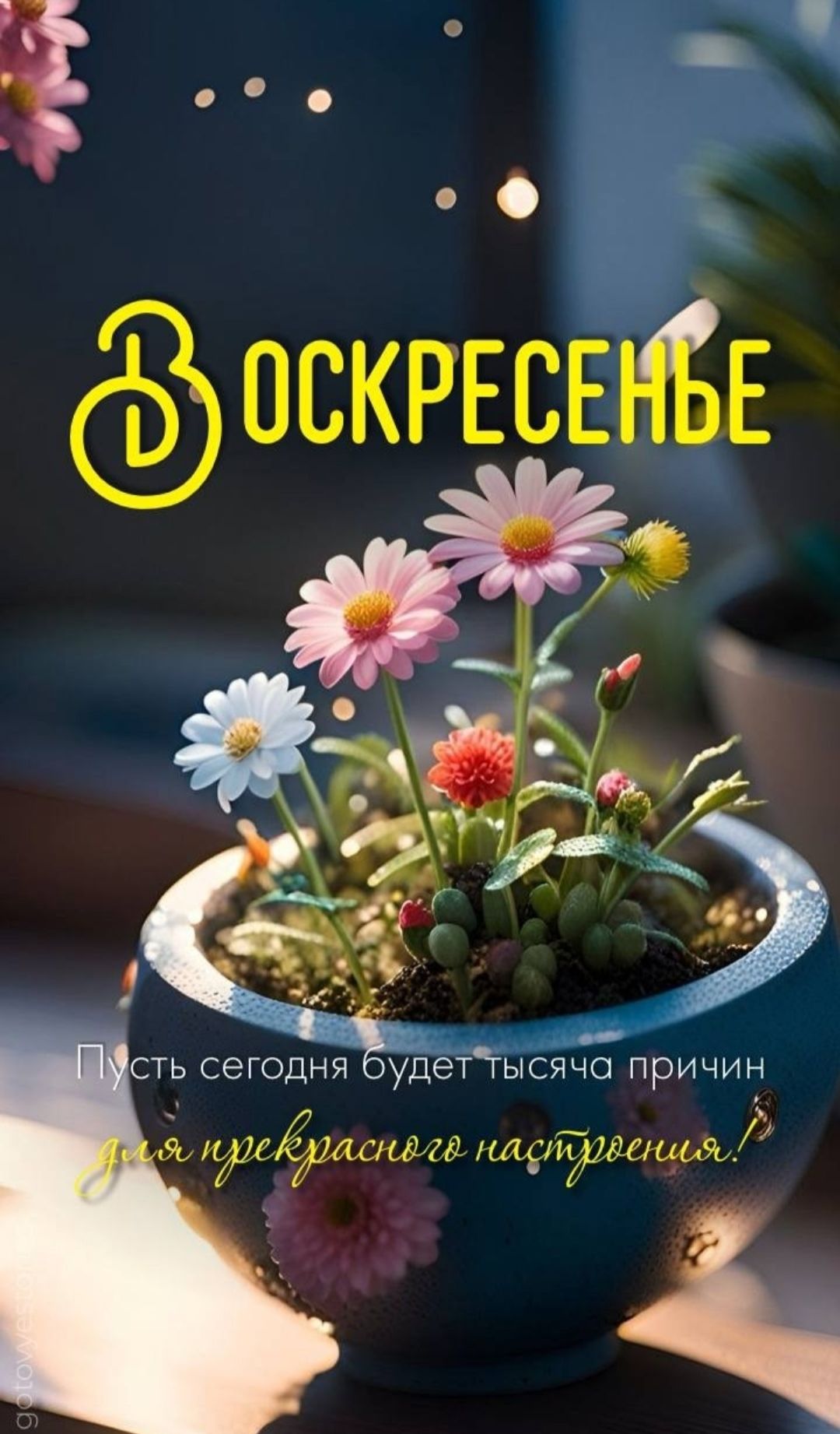 ВОСКРЕСЕНЬЕ
Пусть сегодня будет тысяча причин для прекрасного настроения.