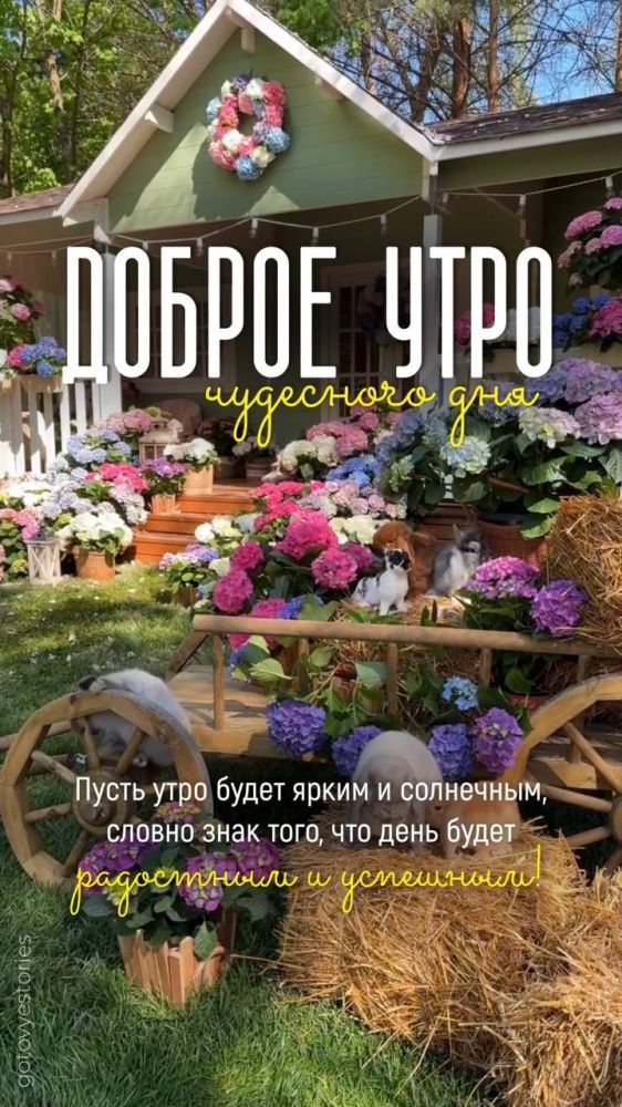 ДОБРОЕ УТРО чудесного дня
Пусть утро будет ярким и солнечным, словно знак того, что день будет радостным и успешным!