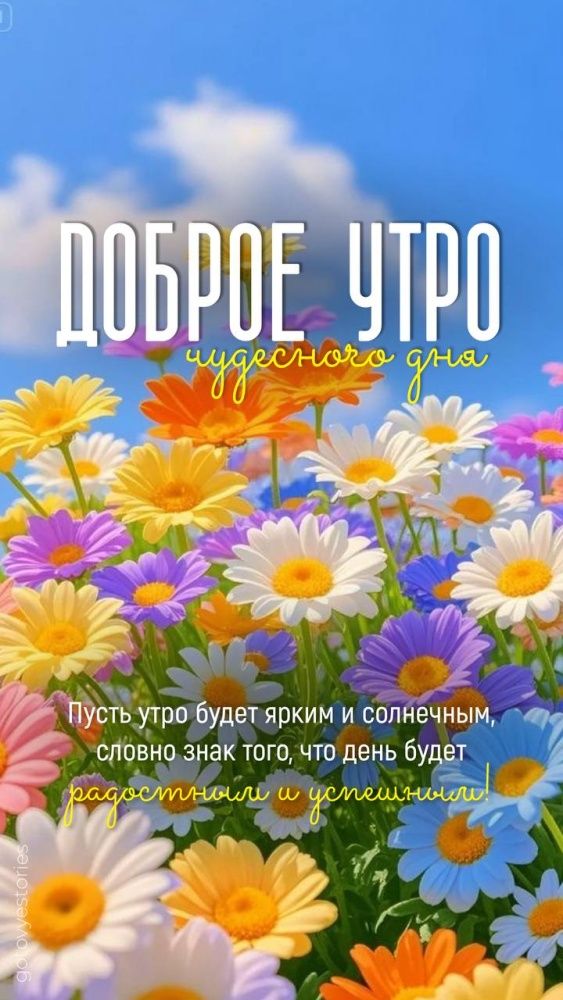 ДОБРОЕ УТРО чудесного дня
Пусть утро будет ярким и солнечным, словно знак того, что день будет радостным и успешным!