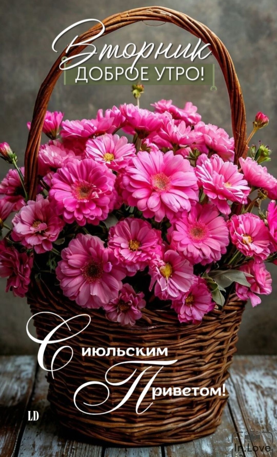 Вторник ДОБРОЕ УТРО! С Июльским Приветом!