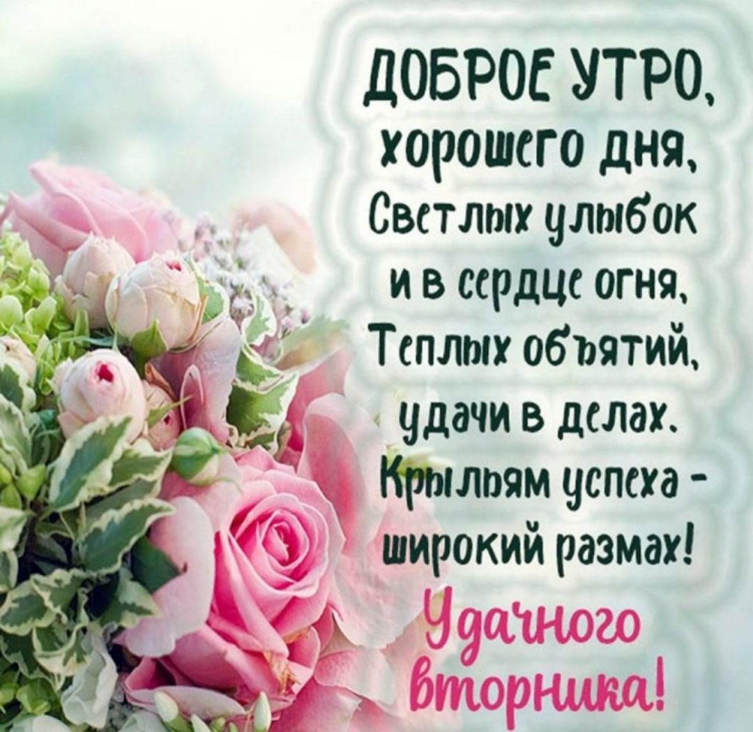 ДОБРОЕ УТРО, хорошего дня, Светлых улыбок и в сердце огня, Теплых объятий, удачи в делах. Крыльям успеха - широкий размах! Удачного вторника!