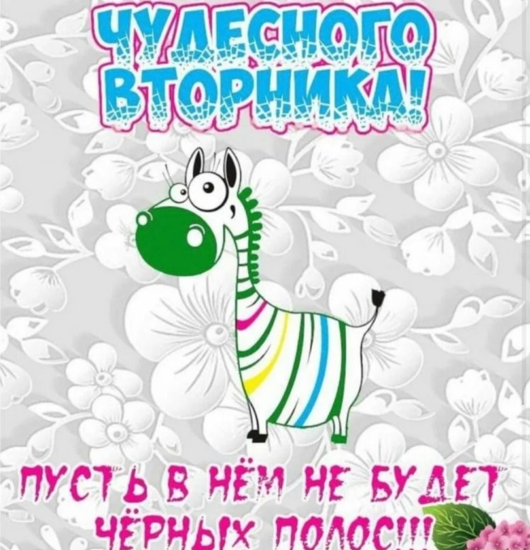 ЧУДЕСНОГО ВТОРНИКА! ПУСТЬ В НЁМ НЕ БУДЕТ ЧЁРНЫХ ПОЛОС!!!