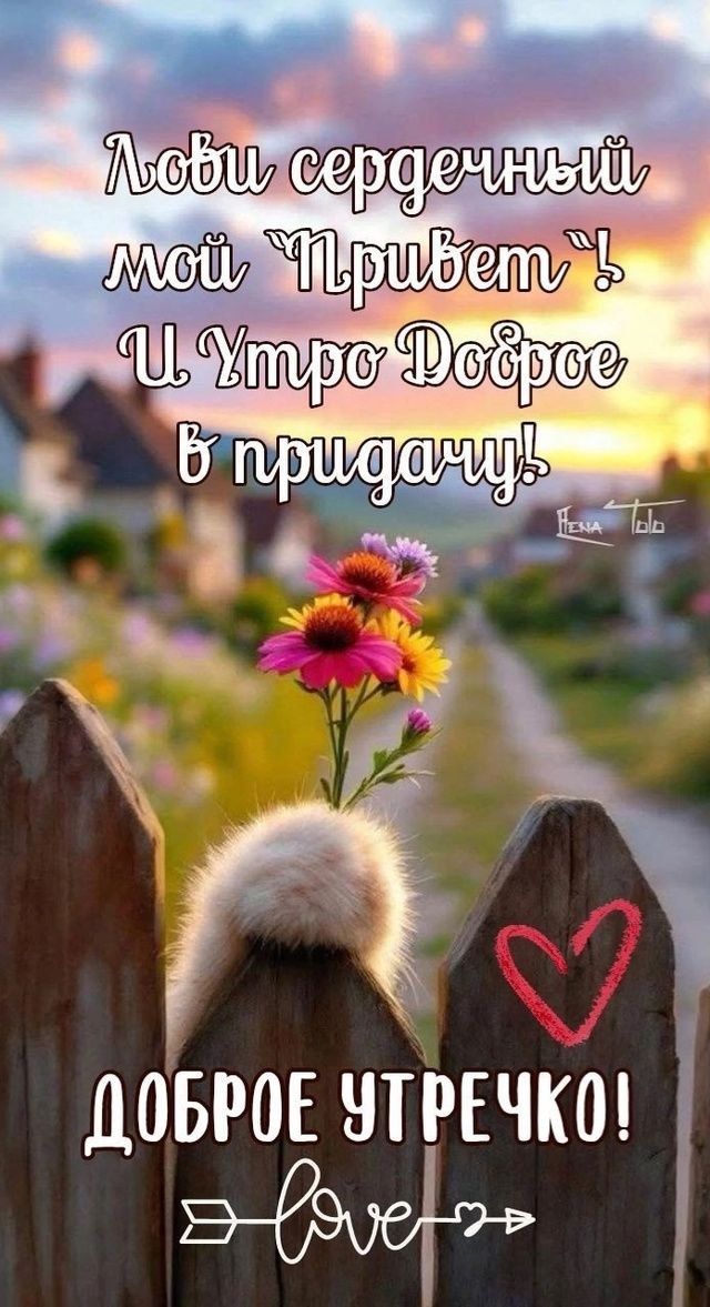 Лови сердечный мой 