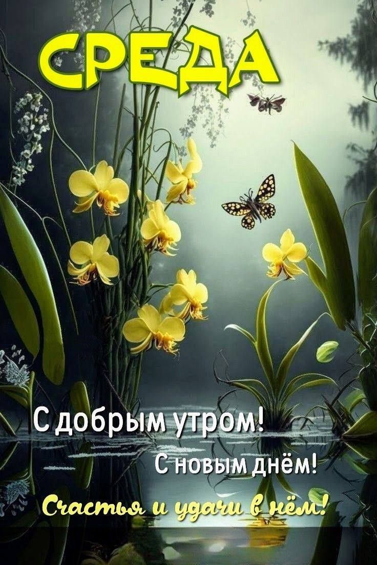 СРЕДА
С добрым утром! С новым днём! Счастья и удачи в нём!