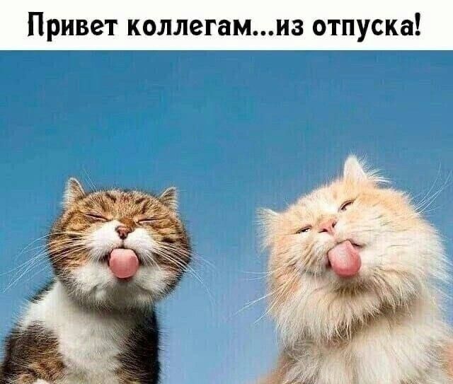 Привет коллегам...из отпуска!