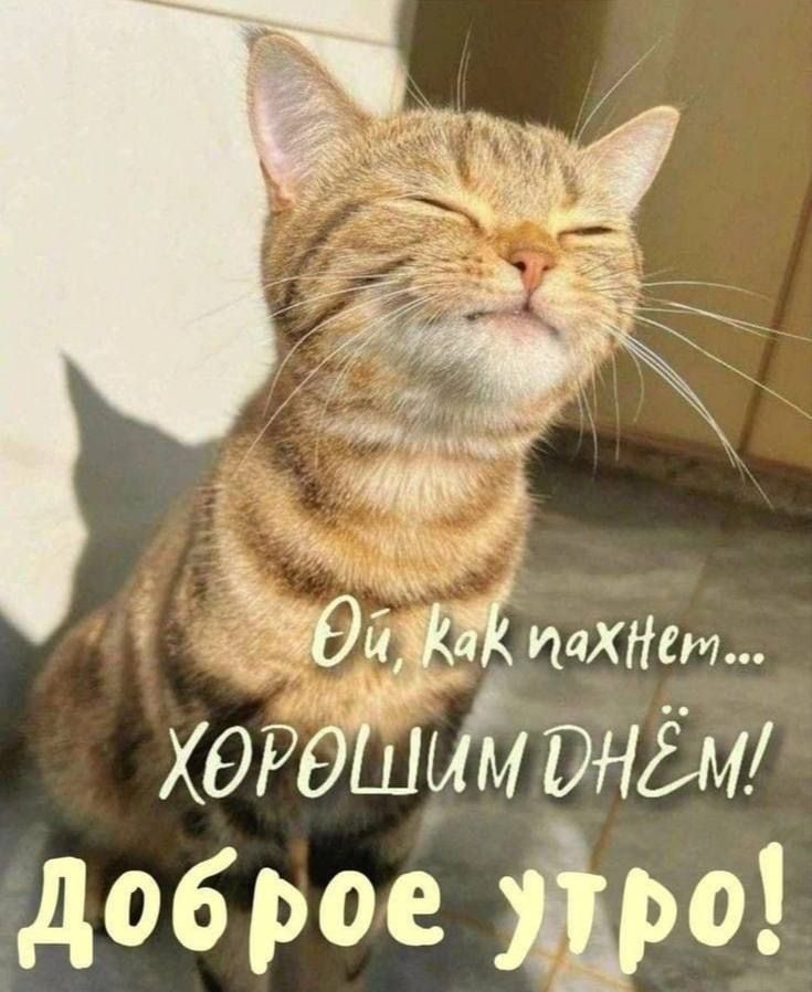 Ой, как пахнет... ХОРОШИМ ДНЁМ! Добрoе утро!