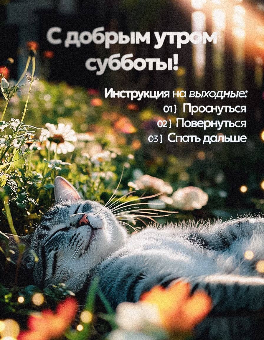 С добрым утром субботы!
Инструкция на выходные:
01] Проснуться
02] Повернуться
03] Спать дальше
