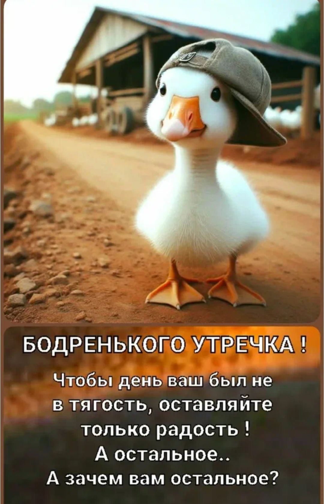 БОДРЕНЬКОГО УТРЕЧКА !
Чтобы день ваш был не в тягость, оставляйте только радость !
А остальное.. А зачем вам остальное?