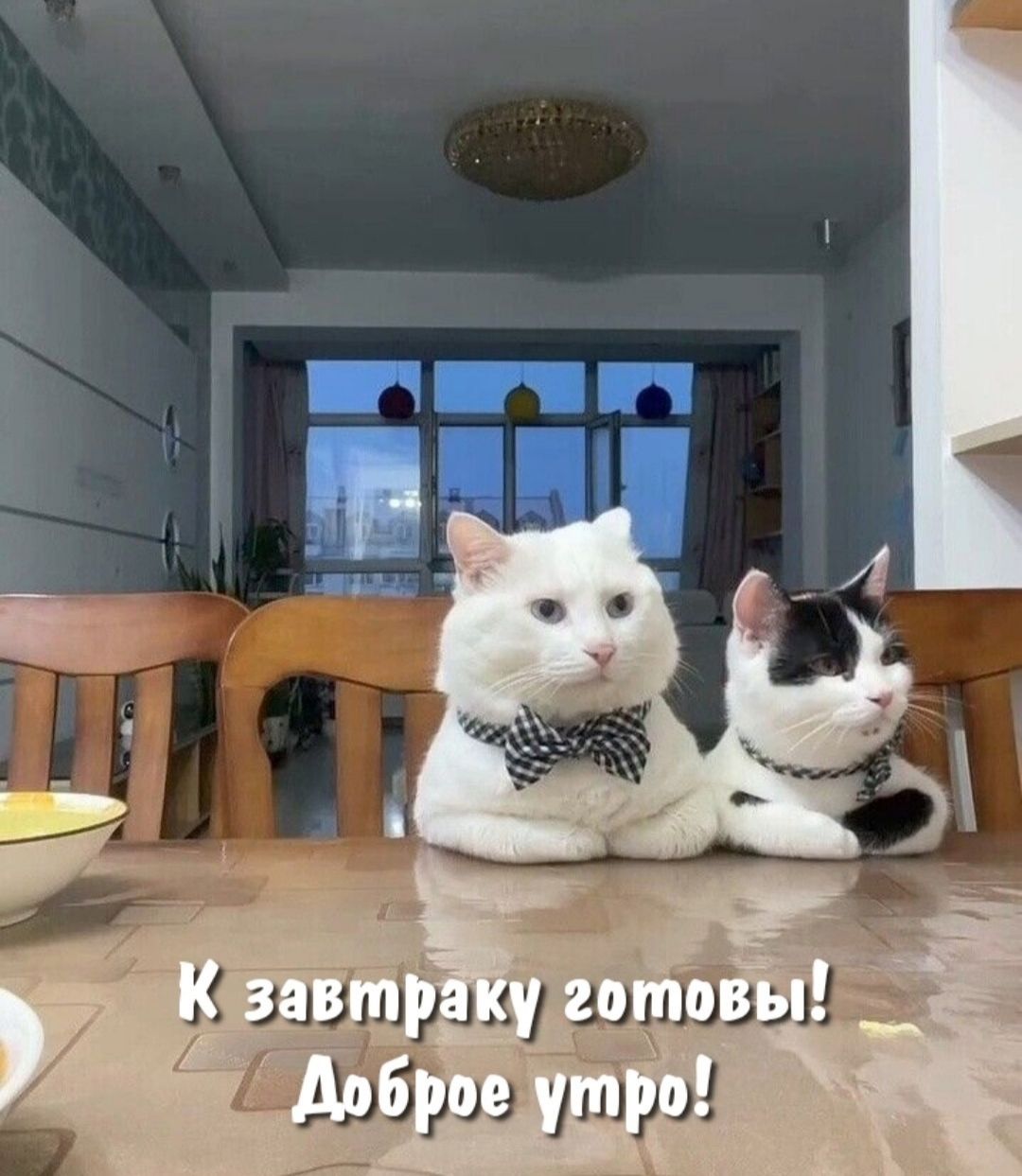 К завтраку готовы! Доброе утро!