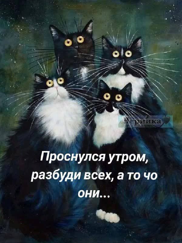 Проснулся утром, разбуди всех, а то что они...