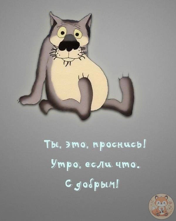 Ты, это, проснись! Утро, если что. С добрым!