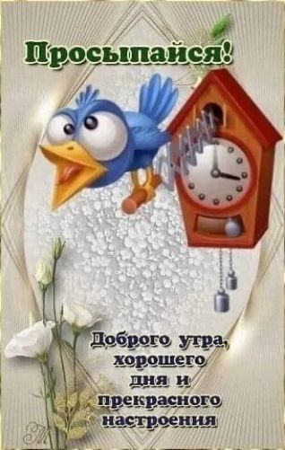 Просыпайся! Доброе утро, хорошего дня и прекрасного настроения