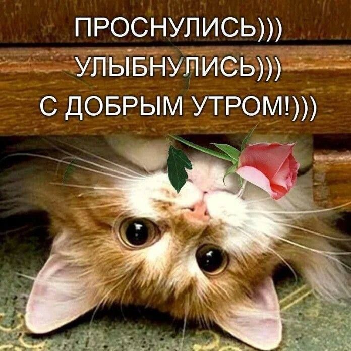 ПРОСНУЛИСЬ))) УЛЫБНУЛИСЬ))) С ДОБРЫМ УТРОМ!)))