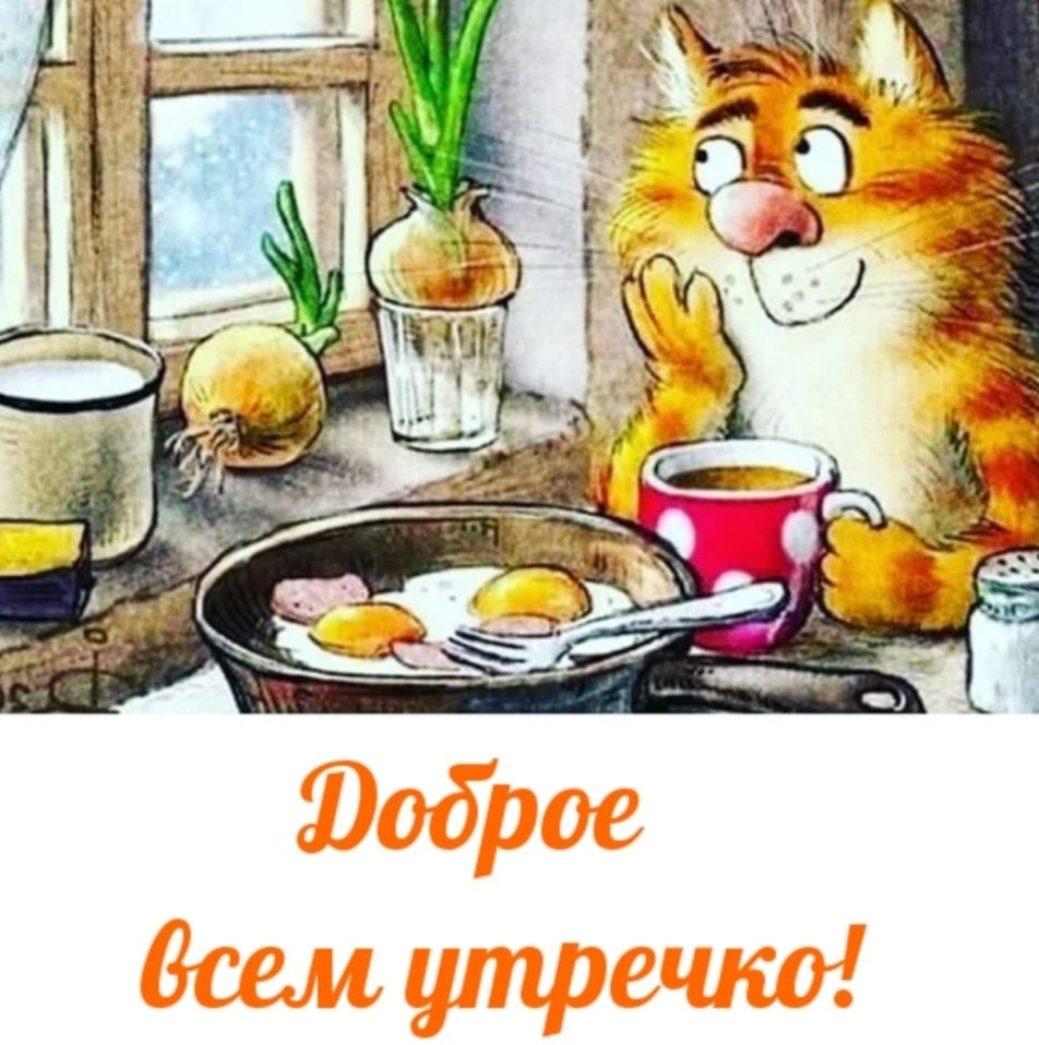 Доброе всем утречко!