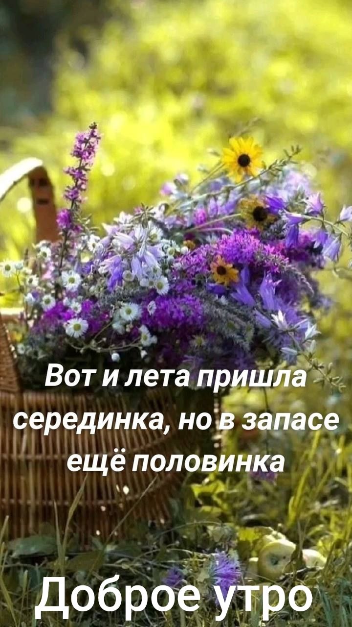 Вот и лета пришла серединка, но в запасе ещё половинка
Доброе утро