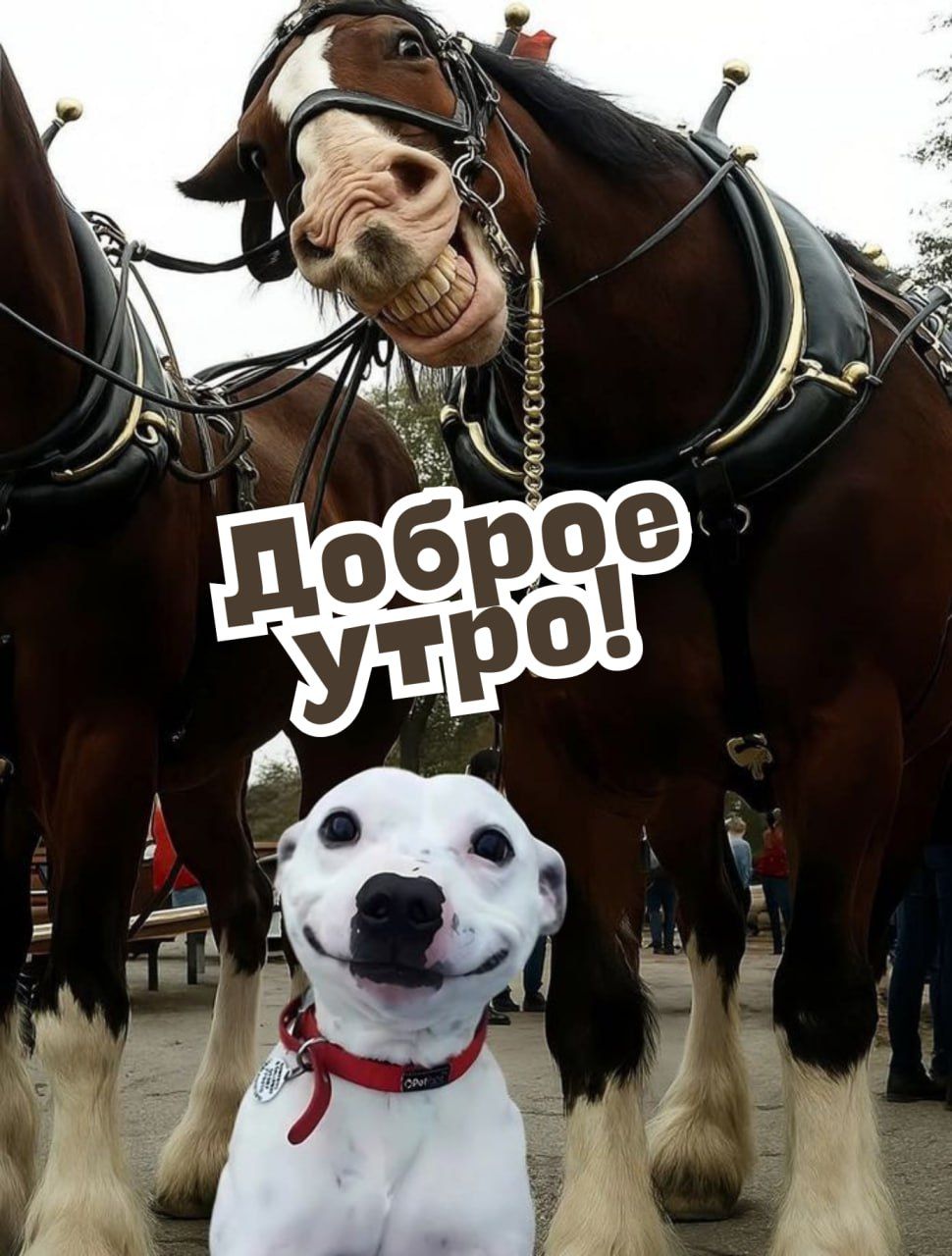 Доброе Утро!