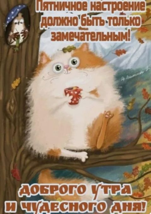 Пятничное настроение должно быть только замечательным! доброго утра и чудесного дня!