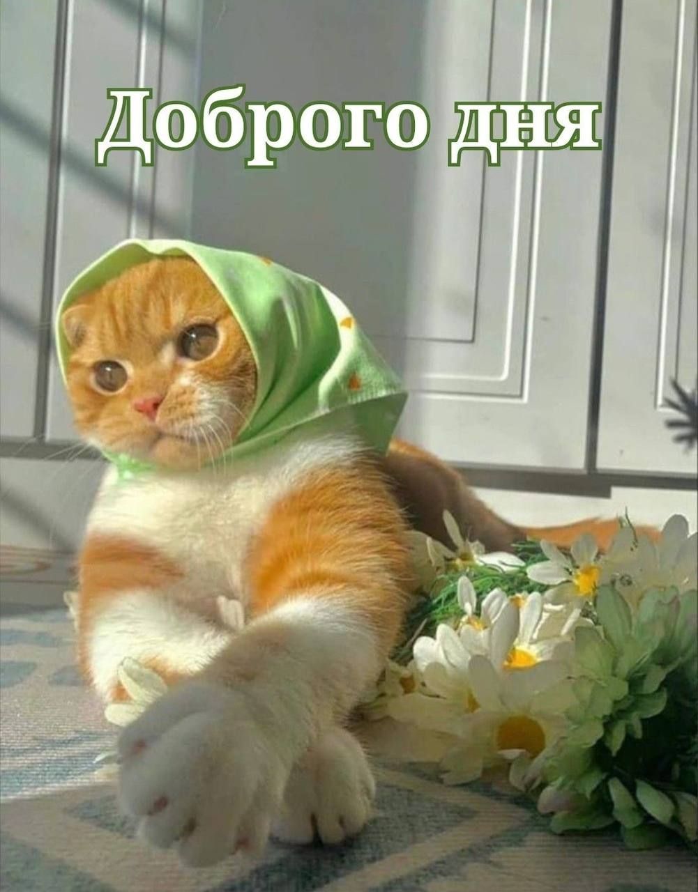 Доброего дня