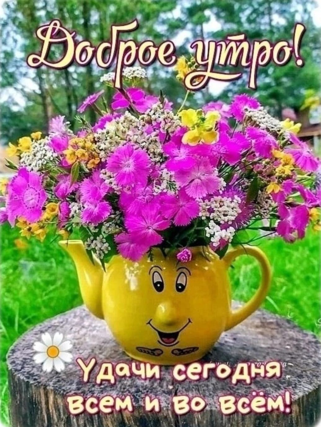 Доброе утро!
