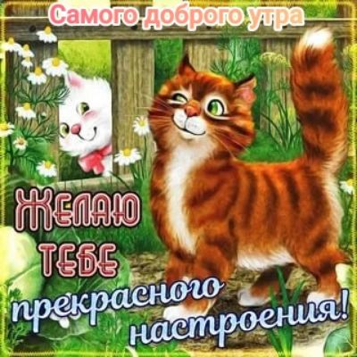 Самого доброго утра
Желаю тебе прекрасного настроения!