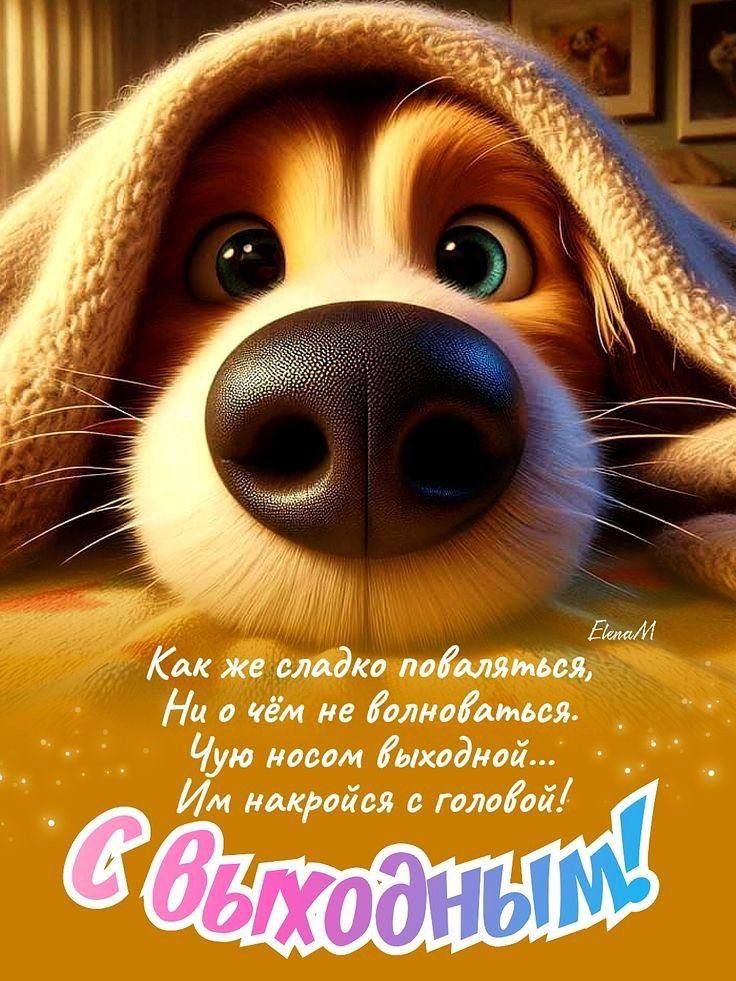 Как же сладко поваляться, Ни о чём не волноваться. Чую носом выходной... Им накройся с головой! С выходным!