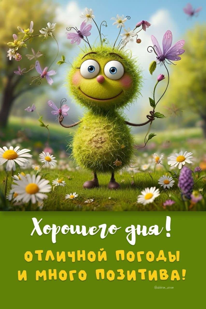 Хорошего дня! отличной погоды и много позитива!
