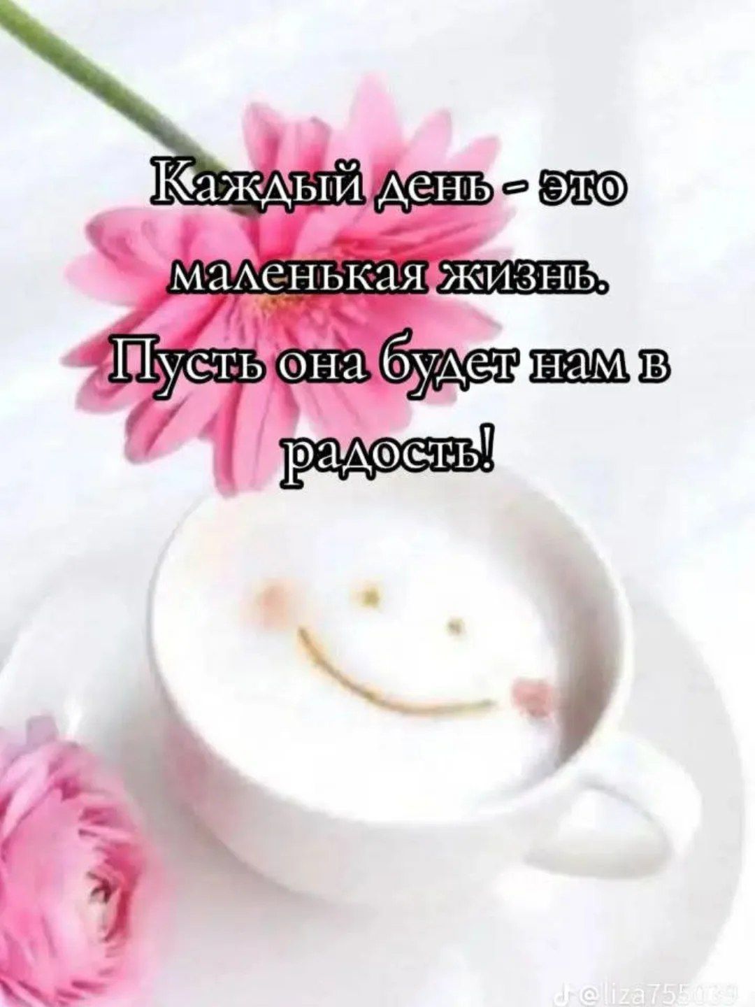 Каждый день - это маленькая жизнь. Пусть она будет нам в радость!