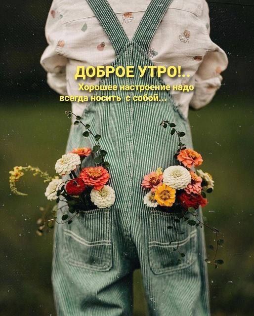 ДОБРОЕ УТРО! Хорошее настроение надо всегда носить с собой.