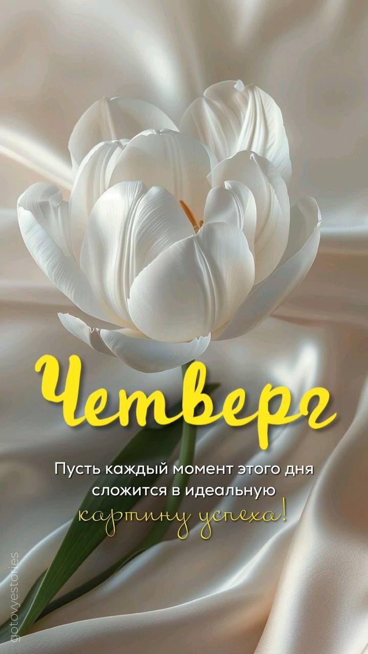 Четверг
Пусть каждый момент этого дня сложится в идеальную картину успеха!