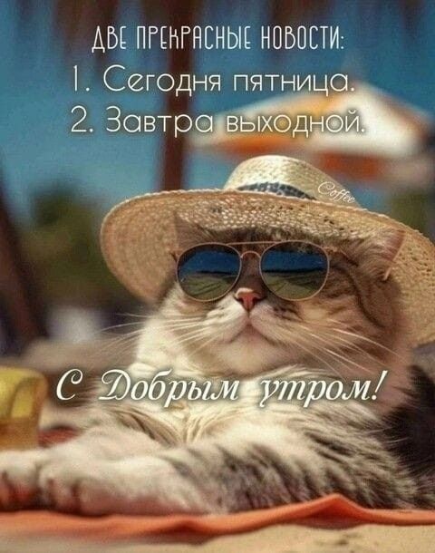 ДВЕ ПРЕКРАСНЫЕ НОВОСТИ: 1. Сегодня пятница. 2. Завтра выходной. С Добрым утром!