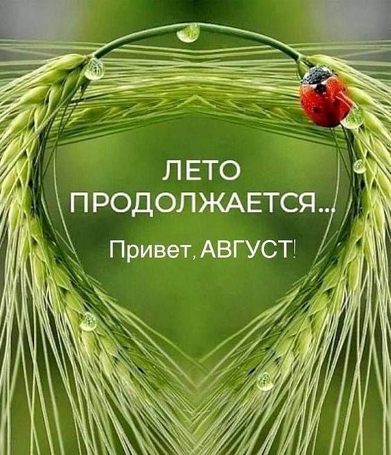 ЛЕТО ПРОДОЛЖАЕТСЯ... Привет, АВГУСТ!