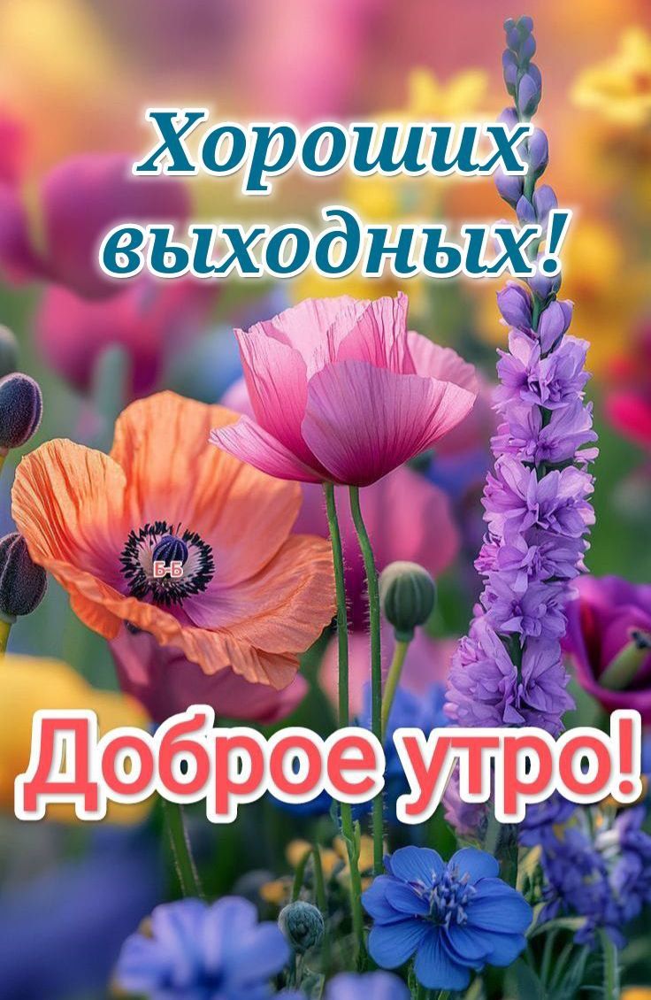 Хороших выходных! Доброе утро!