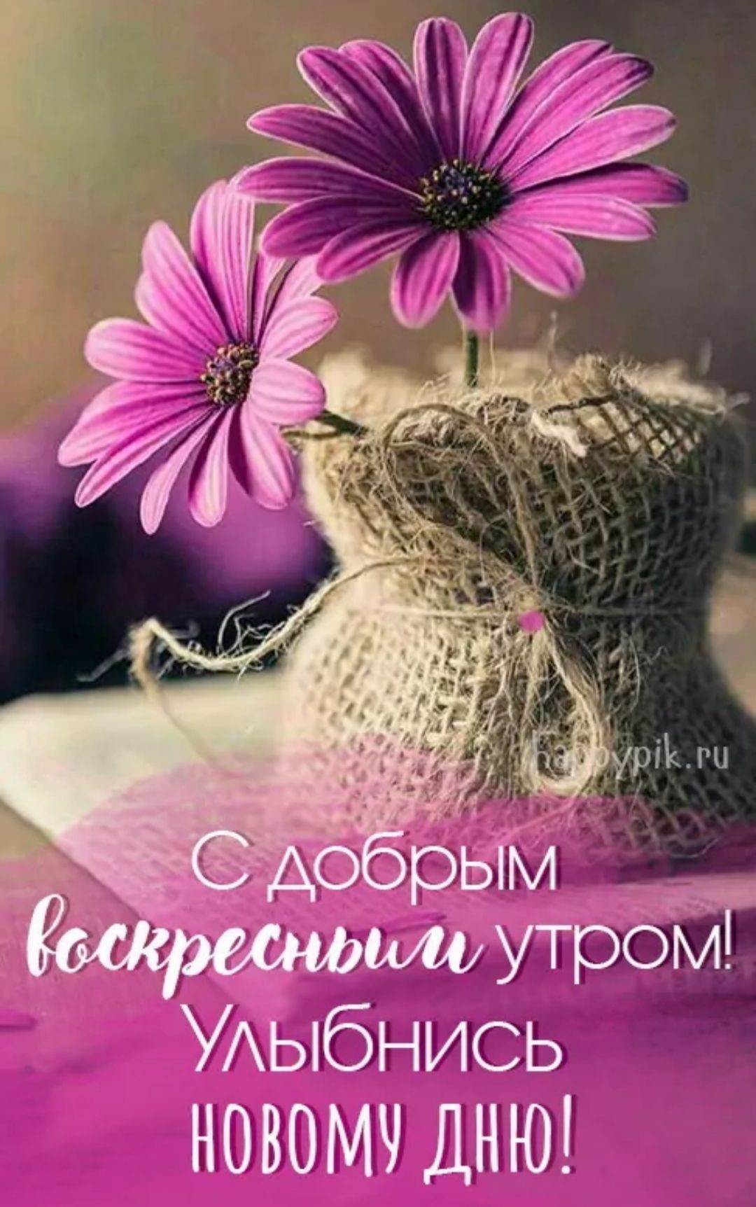 С добрым воскресным утром! Улыбнись новому дню!