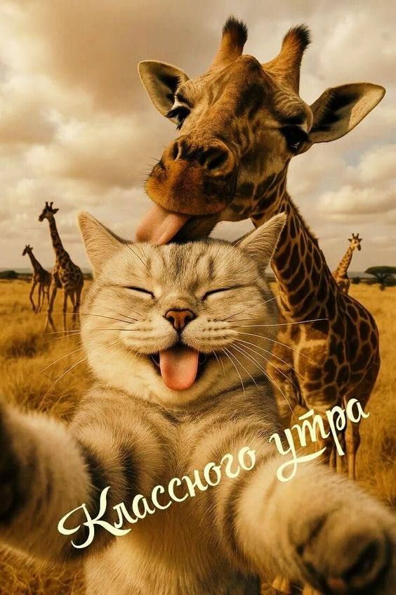 Классного утра