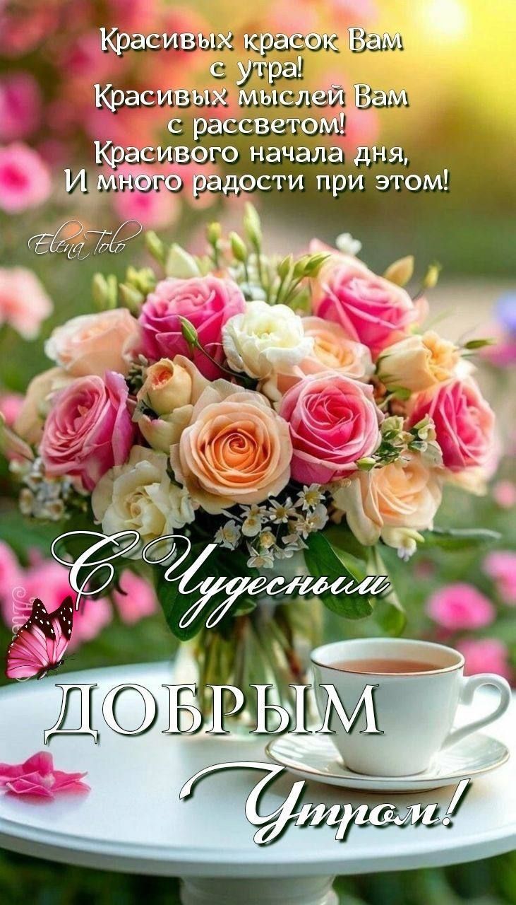Красивых красок Вам с утра! Красивых мыслей Вам с рассветом! Красивого начала дня, И много радости при этом! С Удивительным ДОБРЫМ УТРОМ!