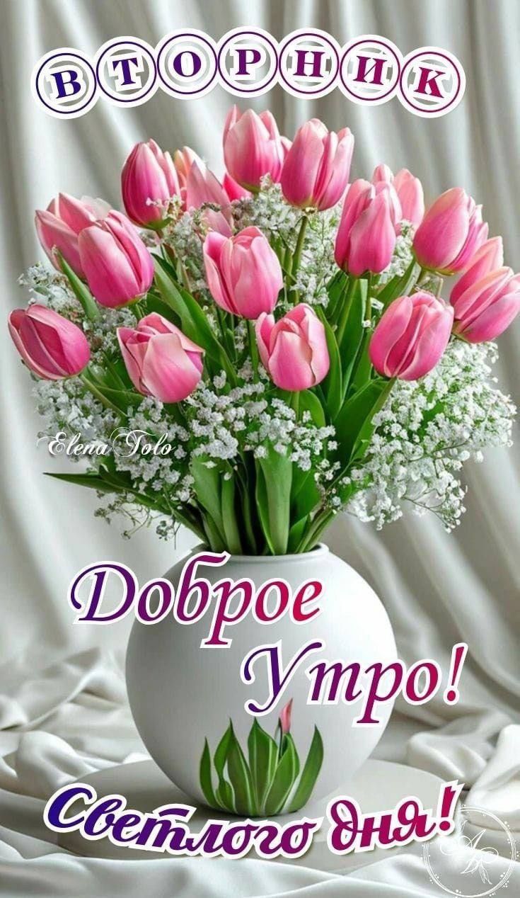 ВТОРНИК
Доброе Утро!
Светлого дня!