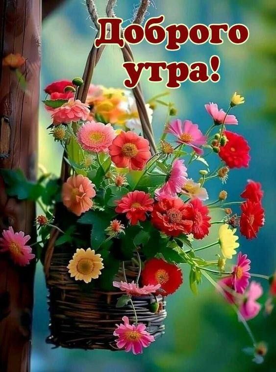 Доброе утро!