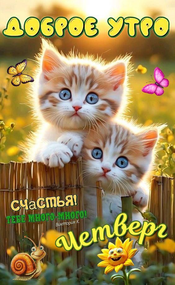 ДОБРОЕ УТРО
СЧАСТЬЯ! ТЕБЕ МНОГО-МНОГО!
Четверг