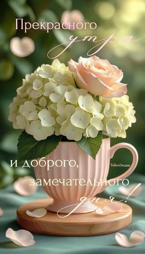 Прекрасного утра и доброго, замечательного дня!