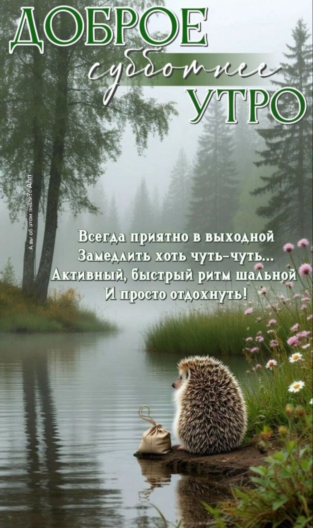 ДОБРОЕ субботнее УТРО
Всегда приятно в выходной
Заметить хоть чуть-чуть...
Активный, быстрый ритм шальной
И просто отдохнуть!