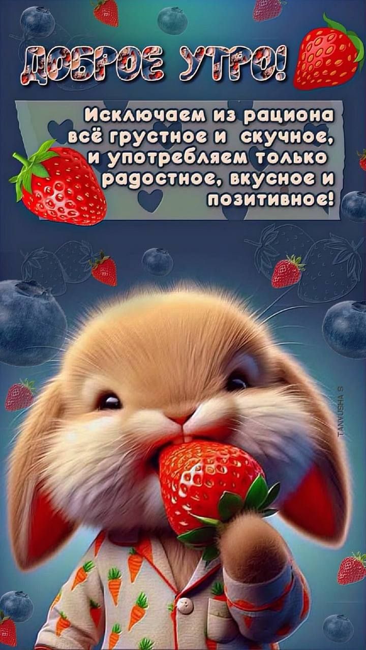 ДОБРОЕ УТРО! Исключаем из рациона всё грустное и скучное, и употребляем только радостное, вкусное и позитивное!
