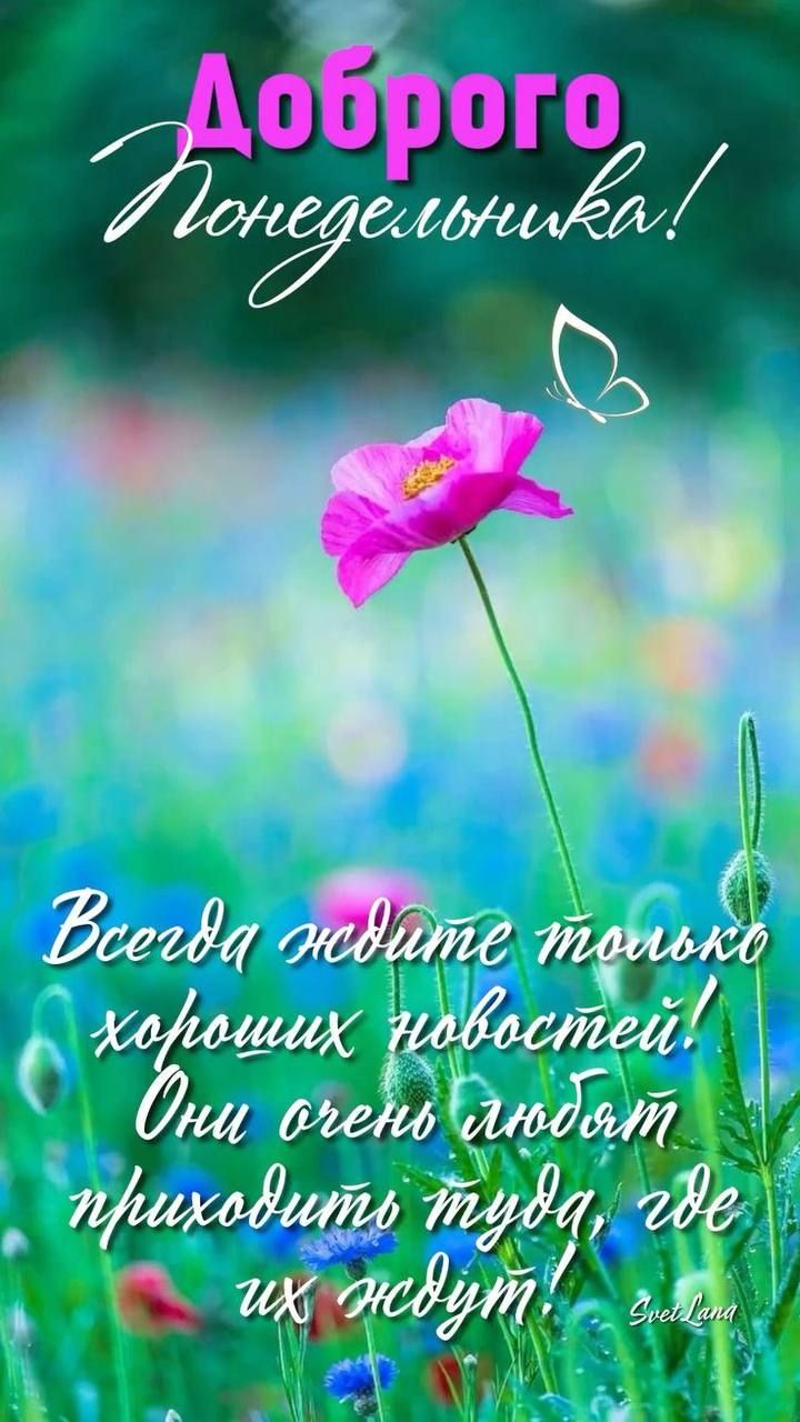 Доброго Понедельника! Всегда ждите только хороших новостей! Они очень любят приходить туда, где их ждут!
