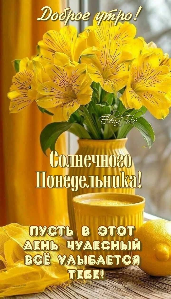 Доброе утро!
Солнечного Понедельника!
Пусть в этот день чудесный всё улыбается тебе!