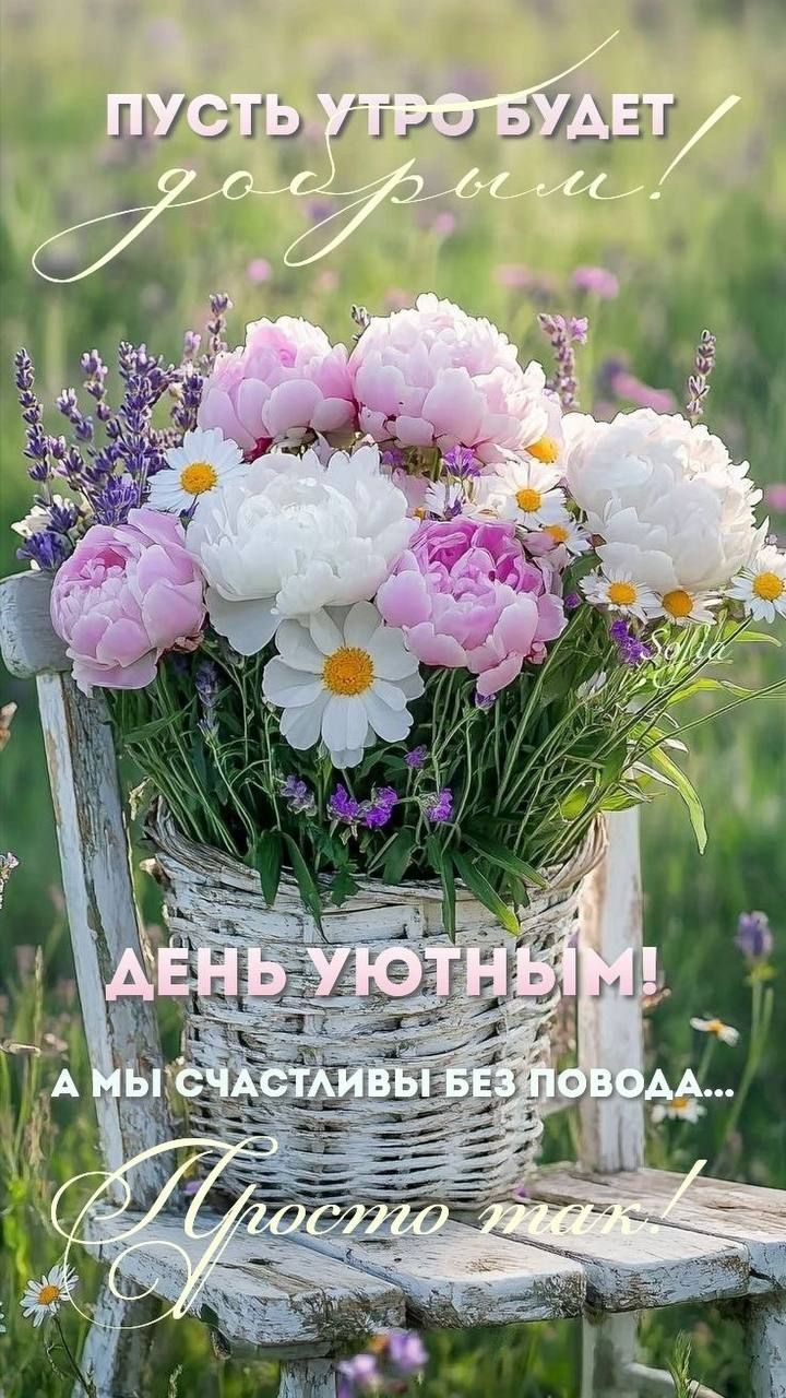 Пусть утро будет добрым! День уютным! А мы счастливы без повода... Просто так!