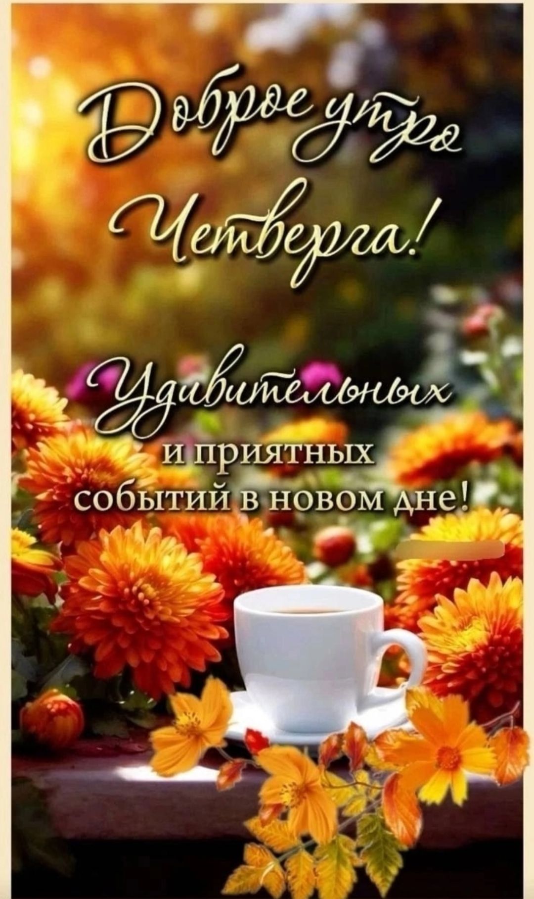 Доброе утро, Четверга! Удивительных и приятных событий в новом дне!