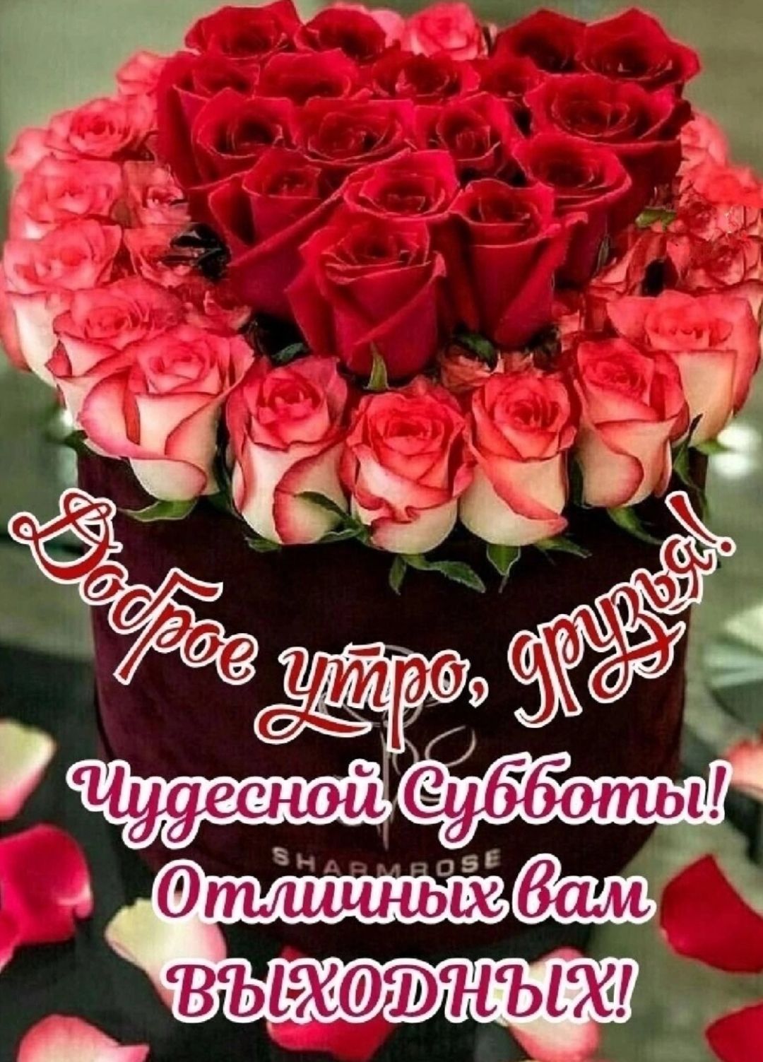 Доброе утро, друзья! Чудесной Субботы! Отличных вам ВЫХОДНЫХ!