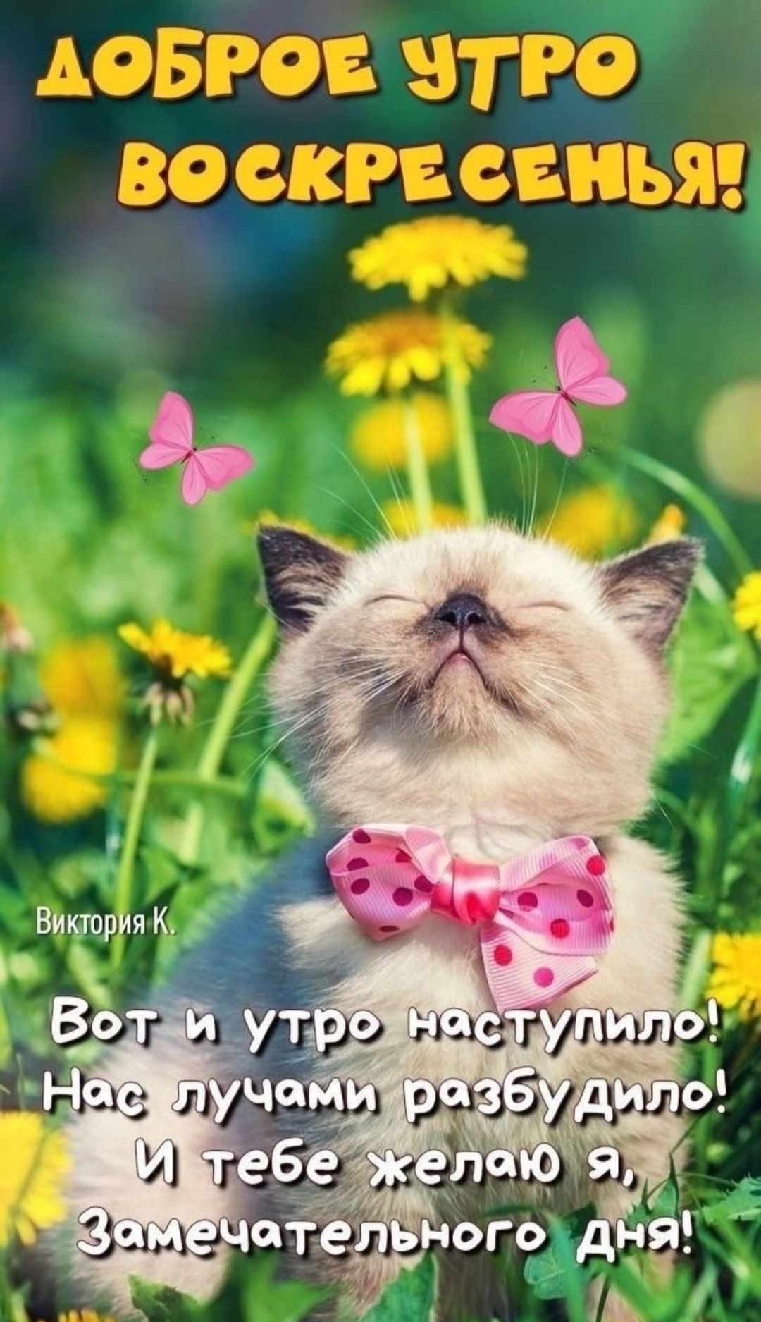 ДОБРОЕ УТРО ВОСКРЕСЕНЬЯ! Вот и утро наступило! Нас лучами разбудило! И тебе желаю я, Замечательного дня!