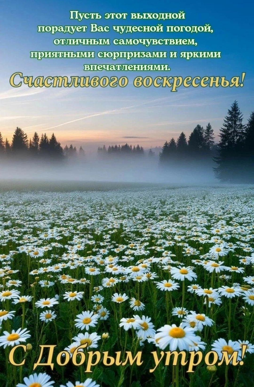 Пусть этот выходной порадует Вас чудесной погодой, отличным самочувствием, приятными сюрпризами и яркими впечатлениями. Счастливого воскресенья! С Добрым утром!