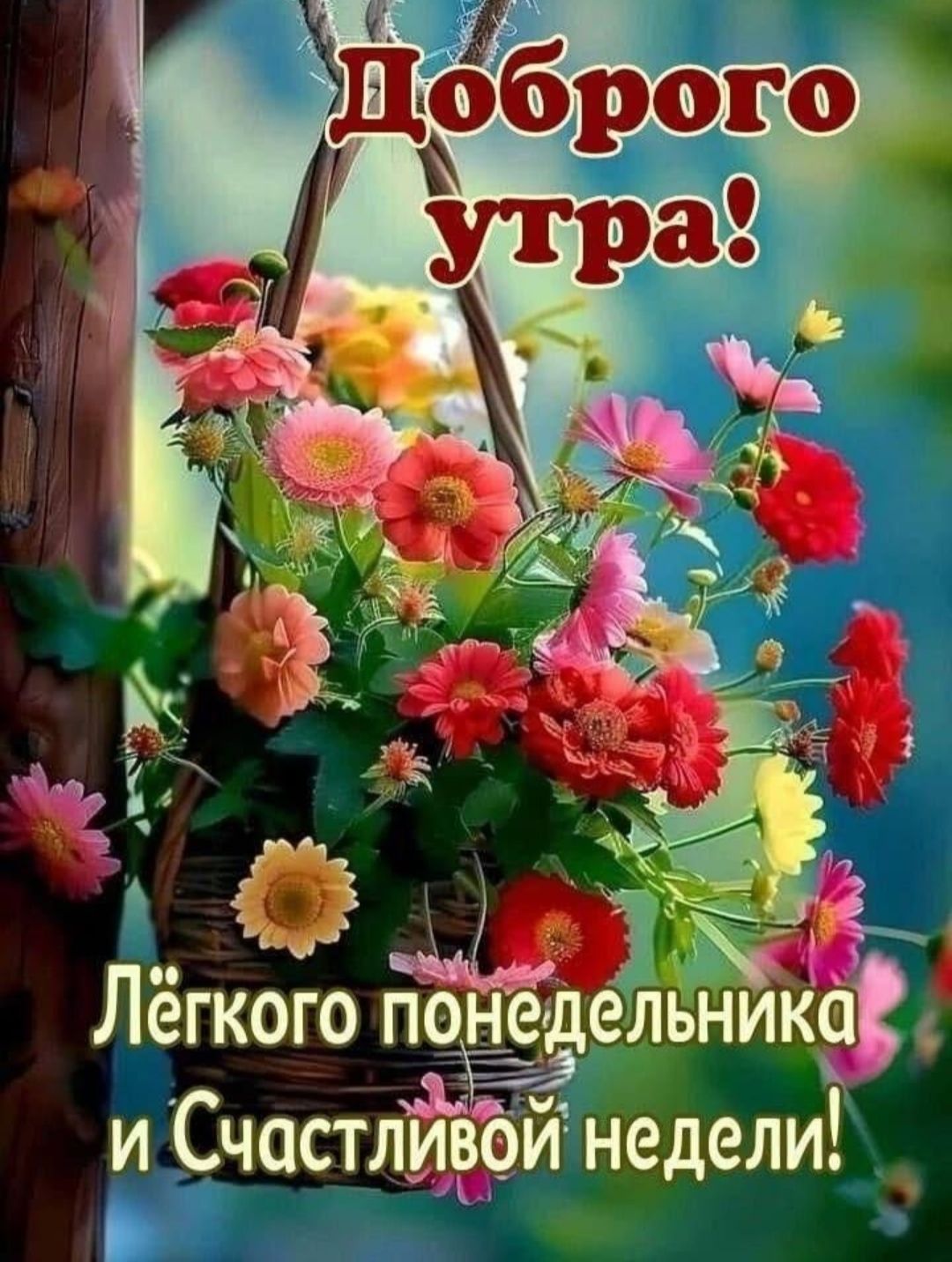 Доброе утро! Лёгкого понедельника и Счастливой недели!