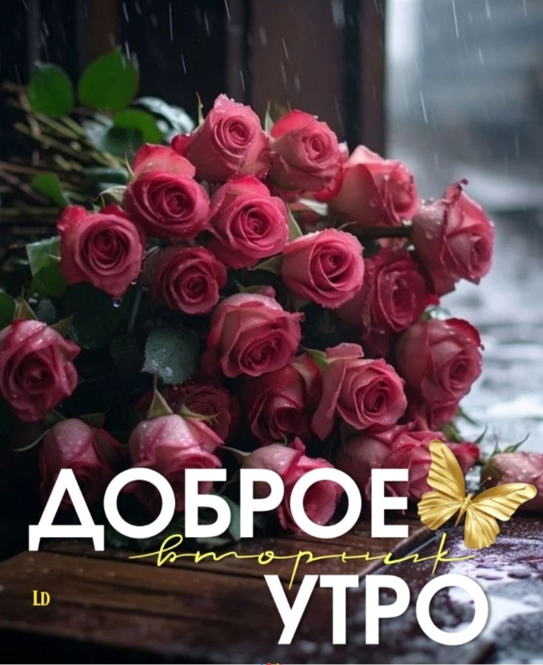 ДОБРОЕ утро
